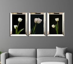 Ayna Çerçevel Tablo, 3 lü Set