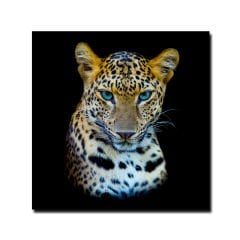 Kabartmalı Leopar Tablo