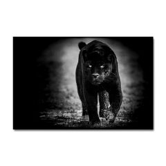 Kabartmalı Siyah Jaguar Tablo