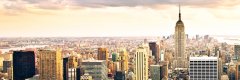 City  Tablo