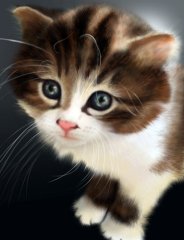 Kedi  Tablosu