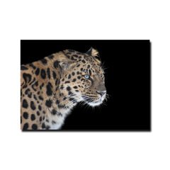 Kabartmalı Leopar Tablo
