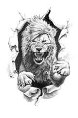 Aslan Tablosu 20 x 30cm