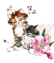 Kedi  Tablosu