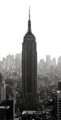City   Tablo