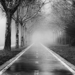 Sisli Yol  Tablo
