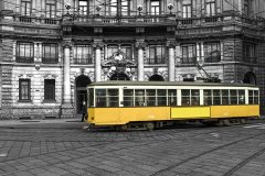 Minibüs  Tablo