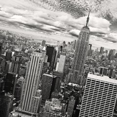 City  Tablo