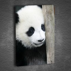 Panda Tablo