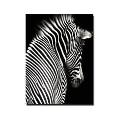 Kabartmalı Zebra Tablo