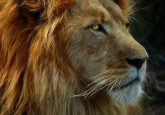 Aslan  Tablo