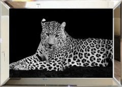 Aynalı Tablo leopar