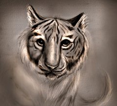 Aslan  Tablo