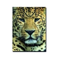 Kabartmalı Leopar Tablo
