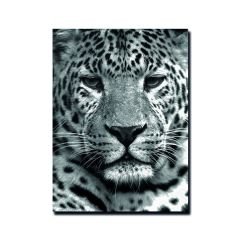 Kabartmalı Kaplan Tablo