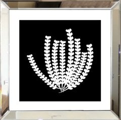 Aynalı Tablo, Bitki