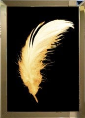 Aynalı Tablo, Gold Tüy