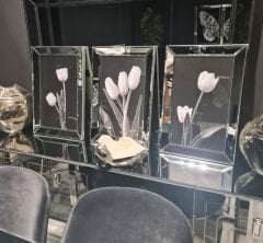 Lale Ayna Çerçevel Tablo, 3 lü Set