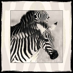 Zebra  Tablo