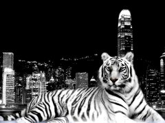 Aslan  Tablo