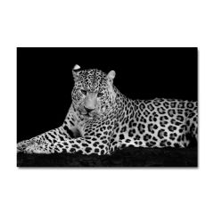 Kabartmalı Leopar Tablo
