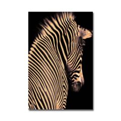 Kabartmalı Zebra Tablo