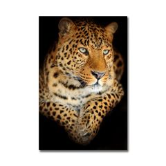 Kabartmalı Leopar Tablo