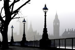 City  Tablo