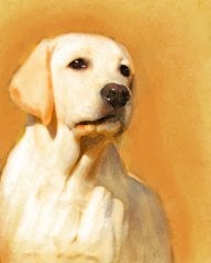 Köpek Tablosu