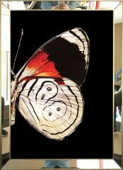 Aynalı Tablo