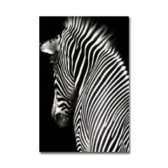 Kabartmalı Zebra Tablo