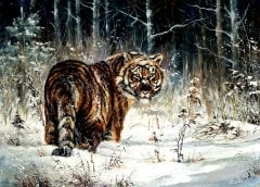 Aslan  Tablo