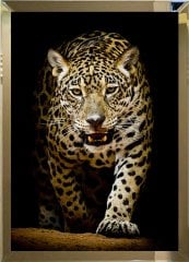 Aynalı Tablo leopar