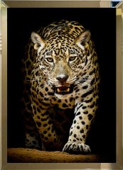Aynalı Tablo leopar 40 x 60cm