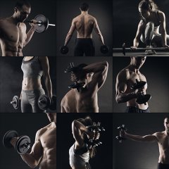 Halter  Tablo