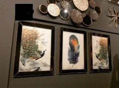 Ayna Çerçeveli, Tavuz Kuşu Tablo, 3 lü Set