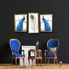 Ayna Çerçeveli, Tavuz KuşuTablo, 3 lü Set
