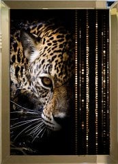 Aynalı Tablo Leopar
