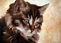 Kedi  Tablo