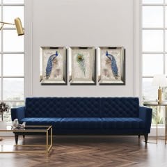 Ayna Çerçeveli, Tavuz Kuşu Tablo, 3 lü Set