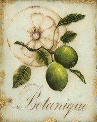 Botanigue  Tablosu