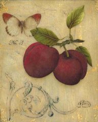 Plum   Tablosu