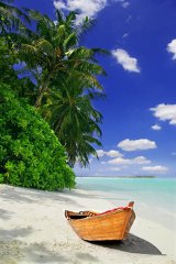 Sandal  Tablosu