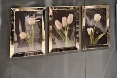 Lale Ayna Çerçevel Tablo, 3 lü Set