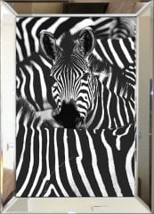 Aynalı Tablo Zebra