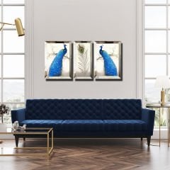 Ayna Çerçeveli, Tavuz KuşuTablo, 3 lü Set